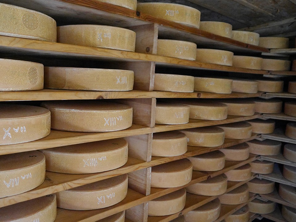 Grindelwalder Alpkäse 2024